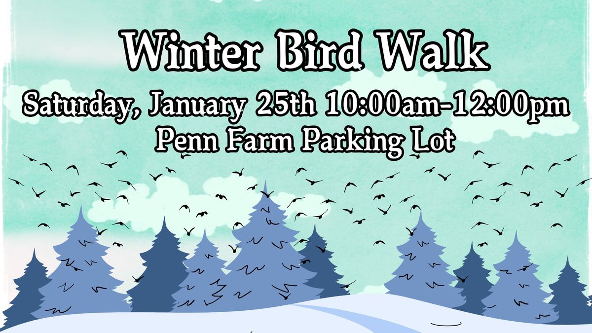 Winter Bird Walk