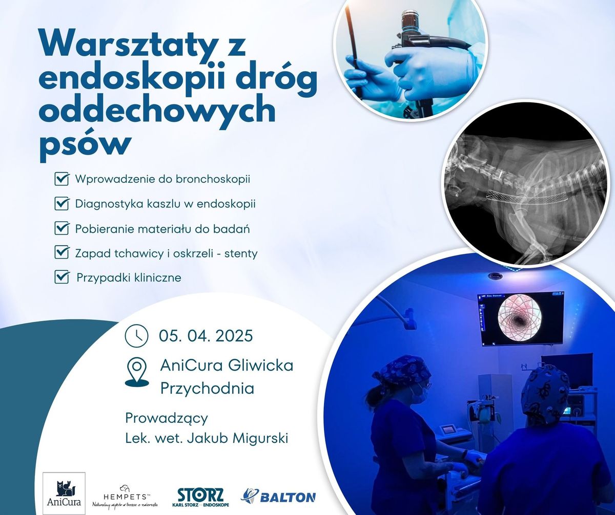 Warsztaty z endoskopii dr\u00f3g oddechowych ps\u00f3w