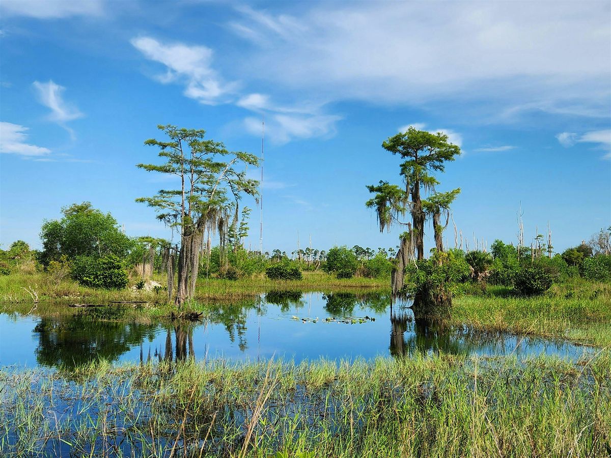 Watershed Water Quality