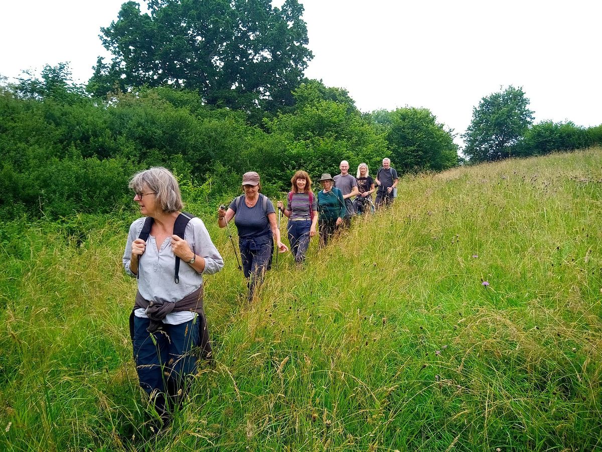Sutton Bingham Circular Walk
