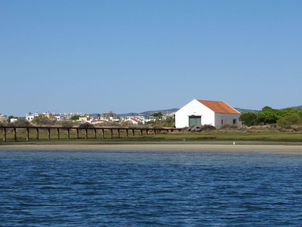 Caminhando na Ria Formosa