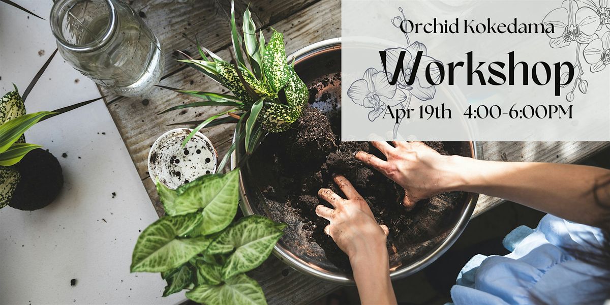 Orchid Kokedama Workshop