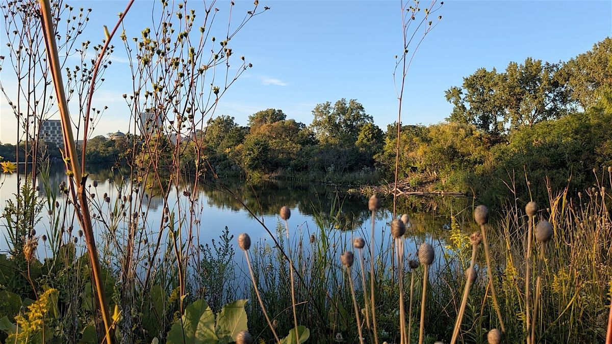 Nature Poetry Walk and Botanical Painting