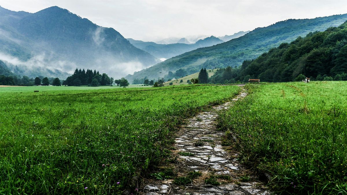 Finding Your Path (In-Person)