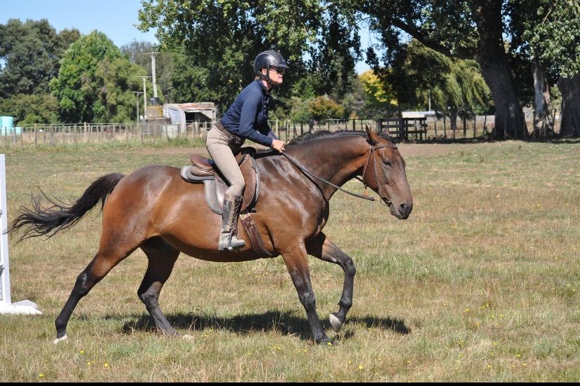 Rider Dynamics with Russell Higgins and Ruth Carlyle 