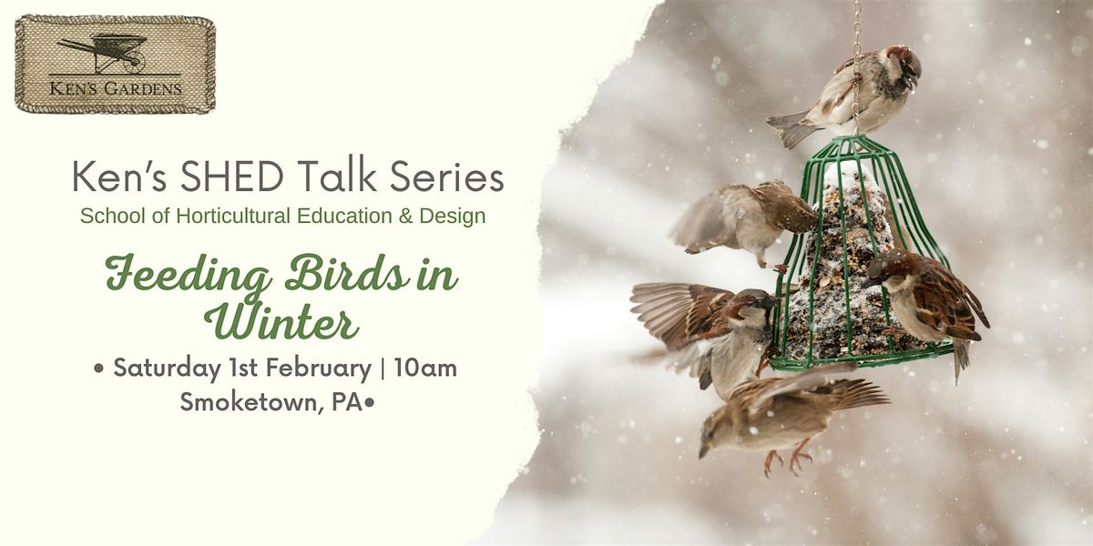 Ken's SHED Talk Series - Feeding Birds in Winter