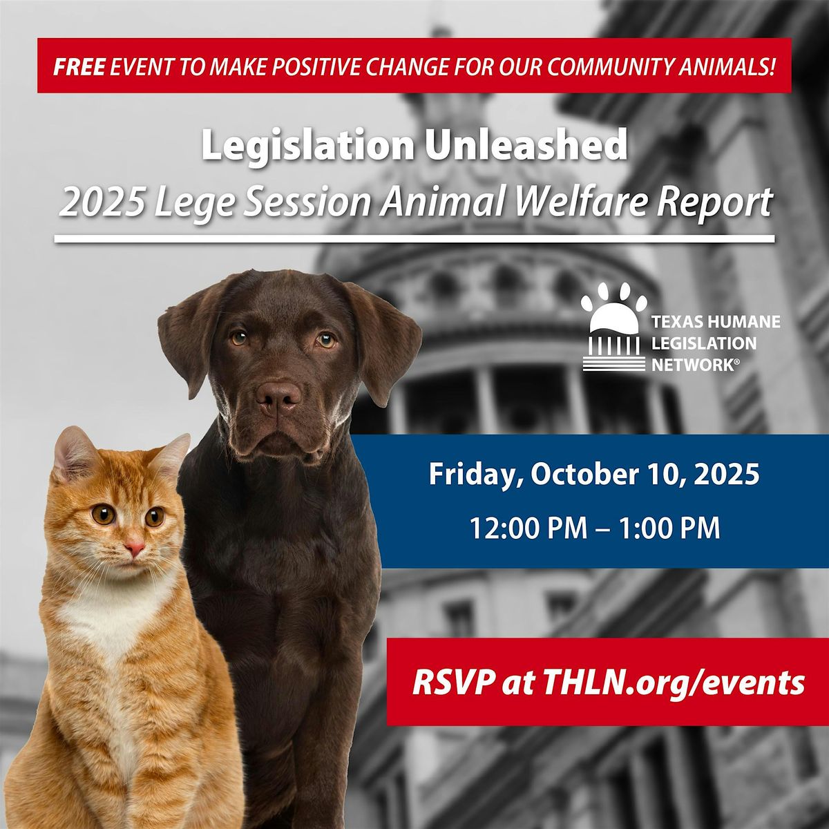 Curious About The Future of Animal Welfare in Texas?