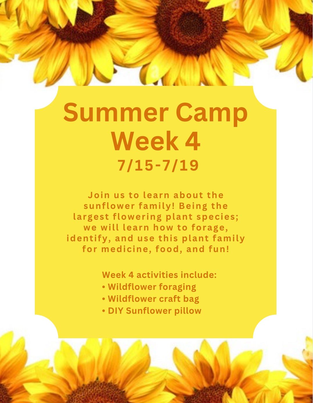 Summer Camp- Week 4