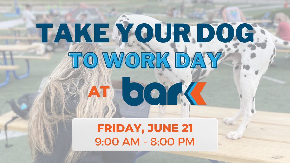 2nd Annual Take Your Dog to Work Day at Bar K!