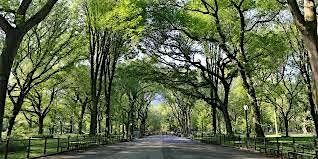 Central Park Sunset Singles Stroll