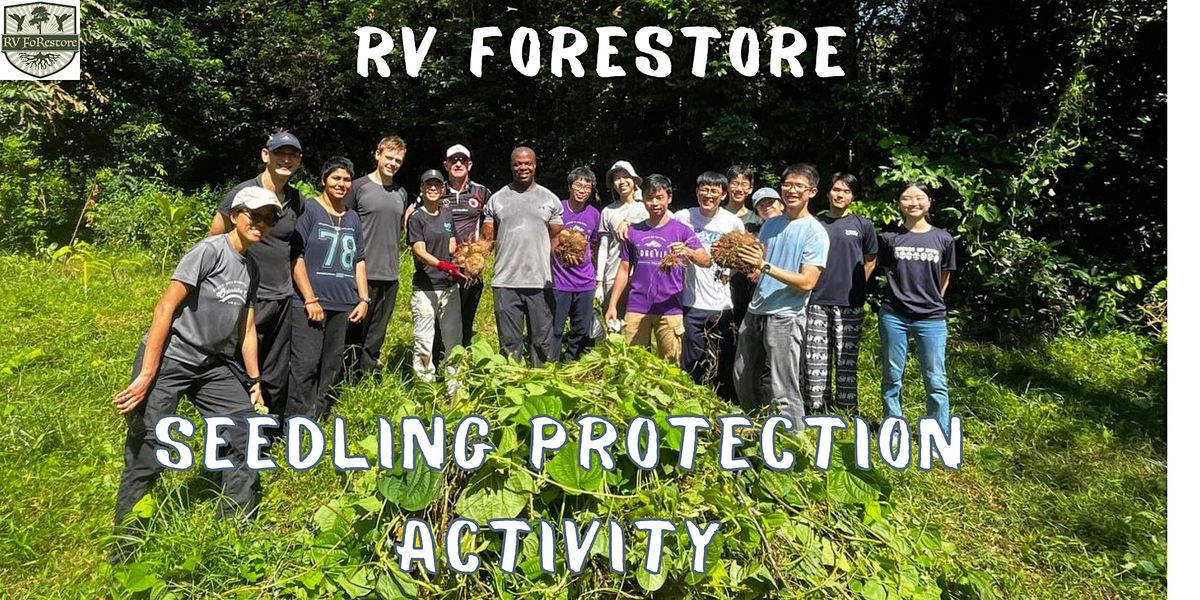 SPA! Seedling Protection Activity @ Thomson Nature Park 18\/10\/2025