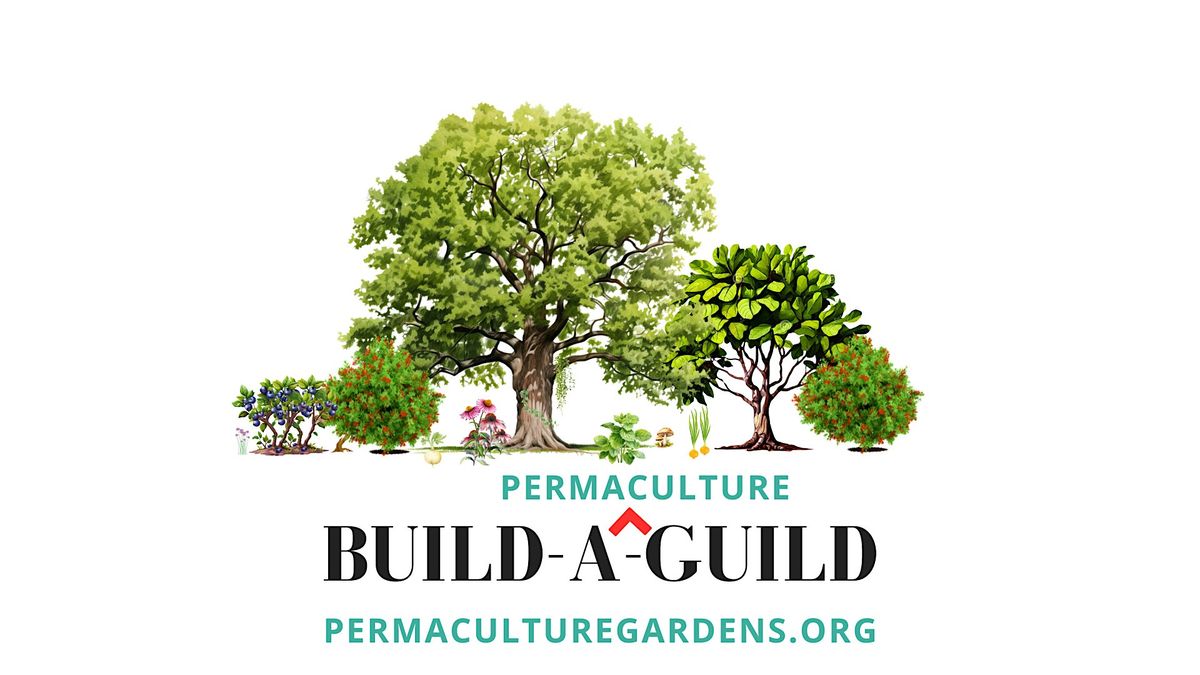 Build A (Permaculture) Guild! In-Person & Livestream Workshop