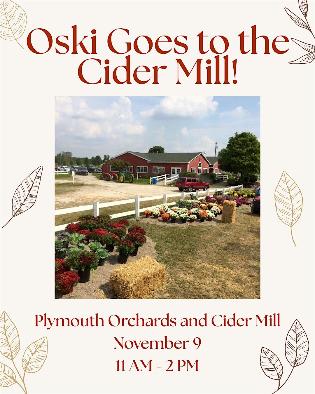 Oski Goes To The Cider Mill!