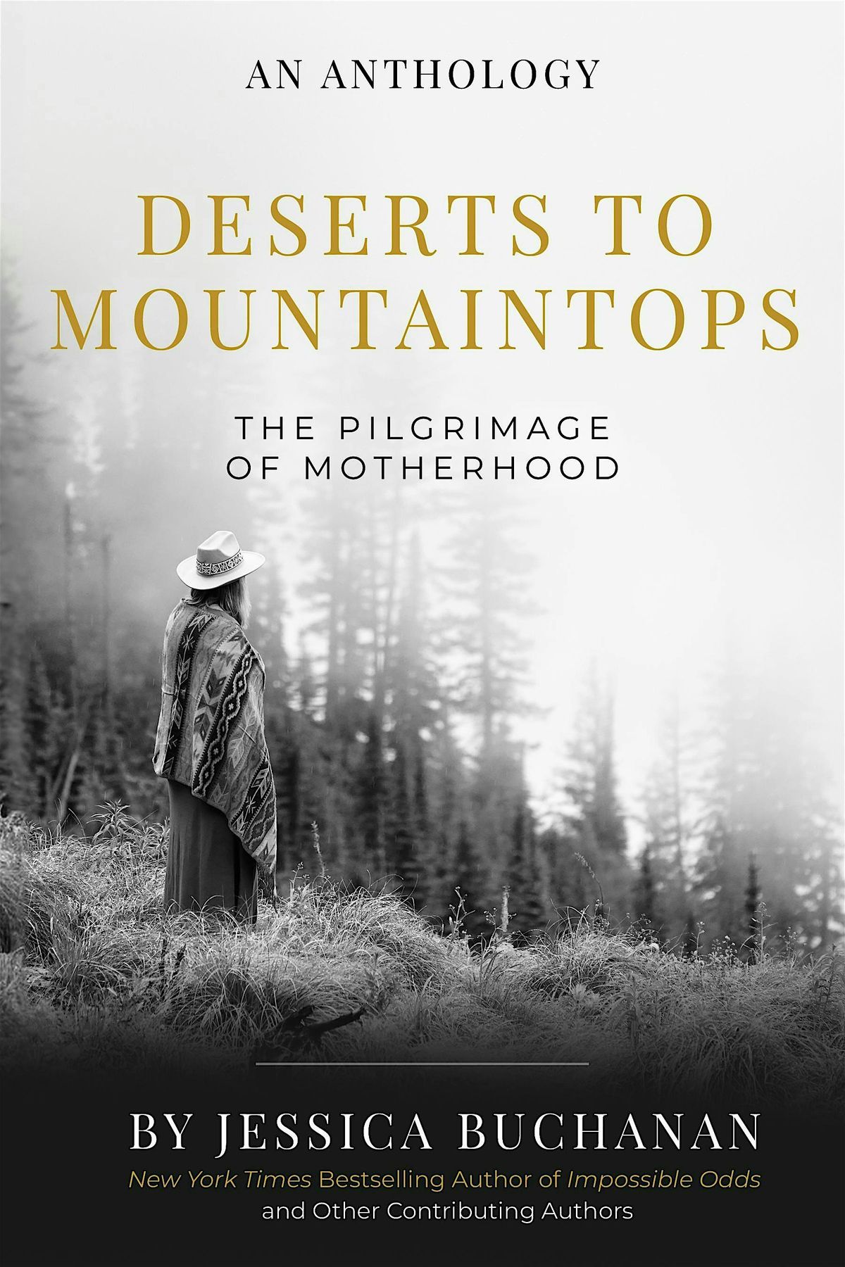 Book Launch! DTM III:The Pilgrimage of Motherhood Release Party