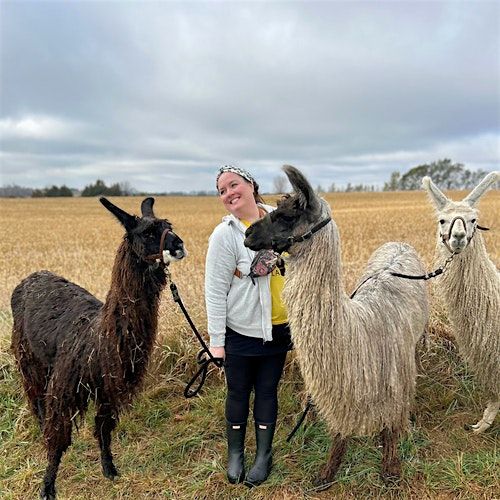 Public Llama Hike with Wine