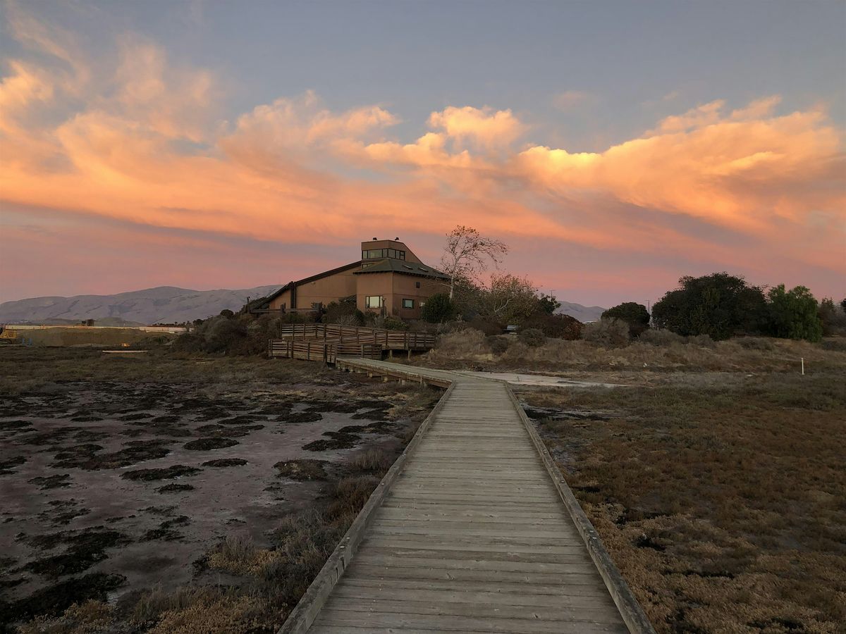 Twilight Tales at the Refuge