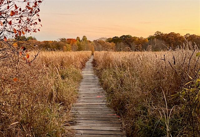 Cutler Park Boardwalk Restoration - SE Mass & GB NEMBA Trail Care Day