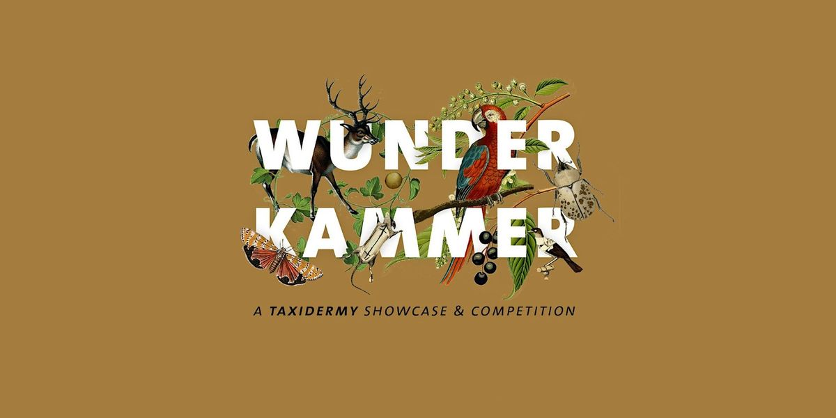 Wunderkammer: A Taxidermy Showcase and Competition