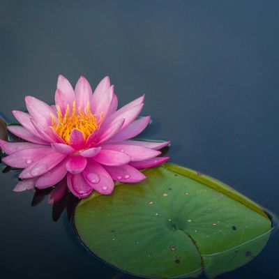 Heather and Nima Yoga