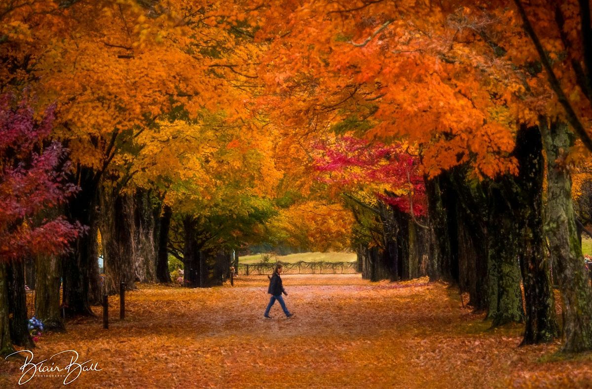Arkansas Fall Colors Photo Workshop