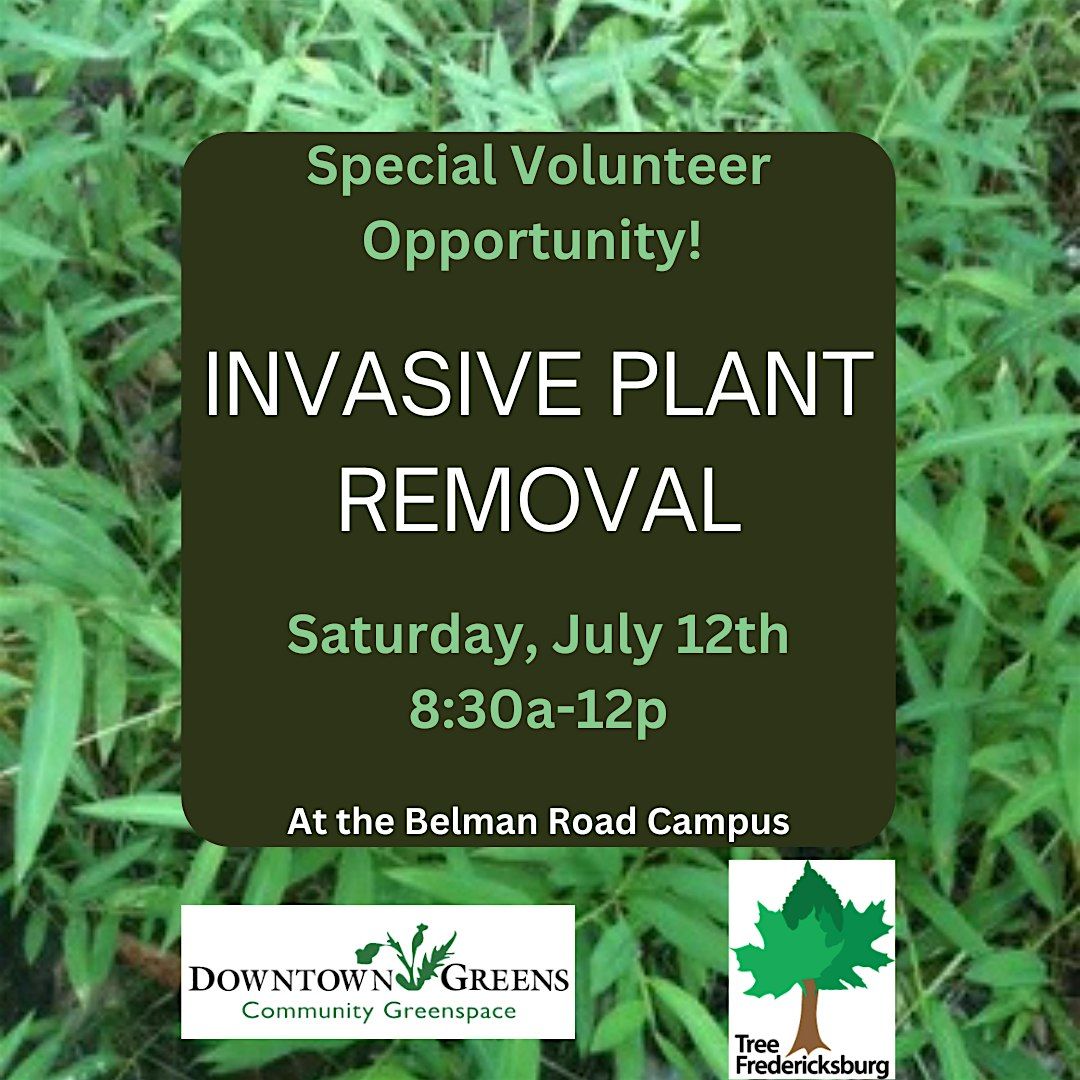 Invasive Plant Removal - Special W**d Whackathon Project