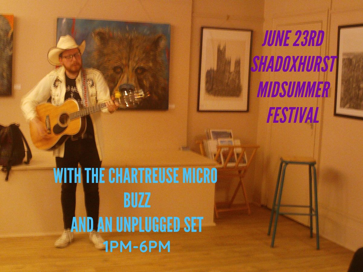 Ernest Graves and the Chartreuse Micro Buzz + Unplugged set at Shadoxhurst Midsummer Festival