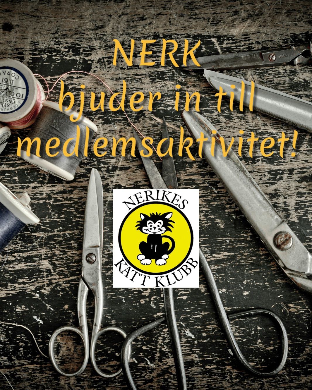 NERK| Medlemsaktivitet 11\/1 - Burskynke till kattutst\u00e4llning