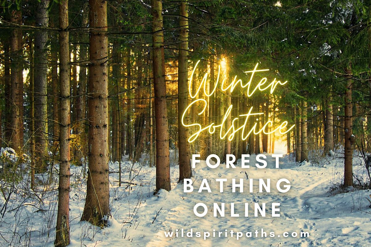 Winter Solstice Celebration: Forest Bathing (on Zoom)