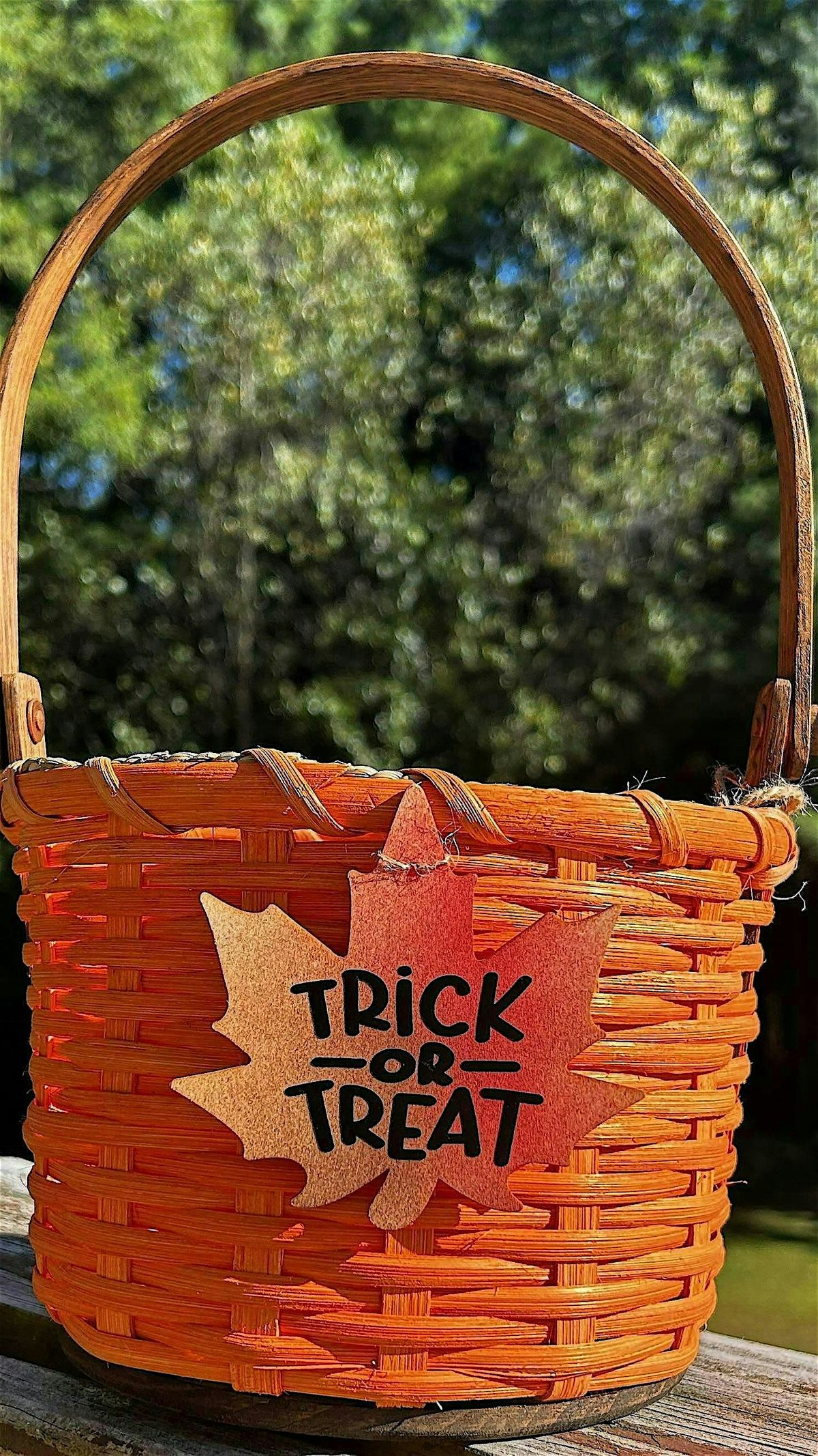 The Art of Basket Weaving: Trick or Treat Basket | Doreen Smith, instructor