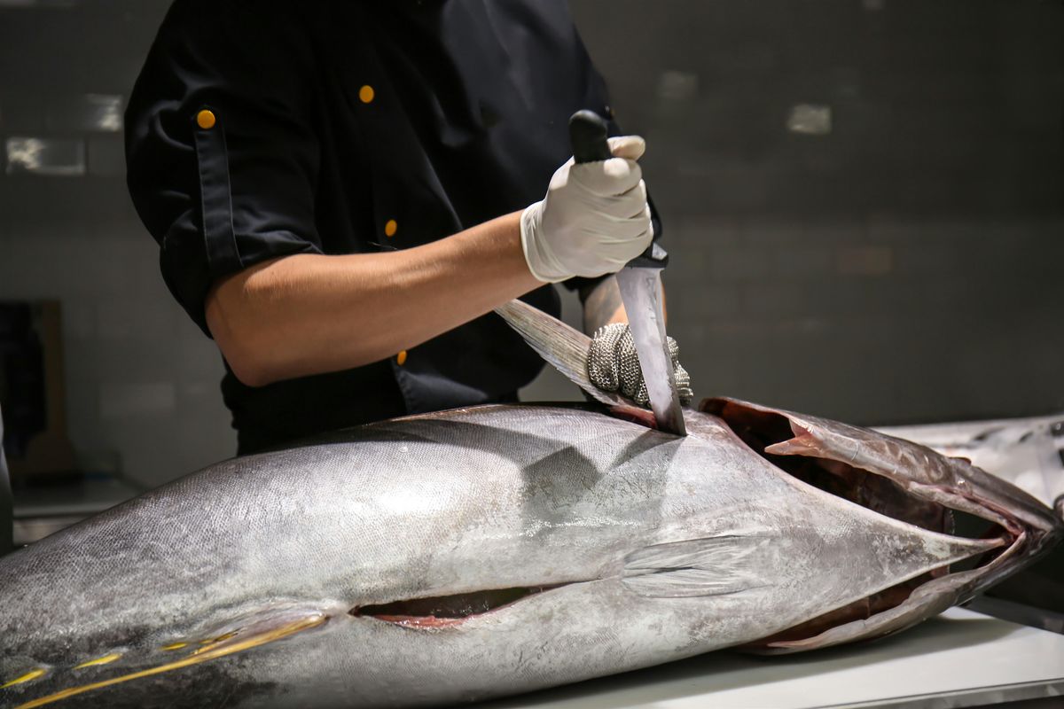 BEHIND THE BLADES: A Whole Tuna Experience