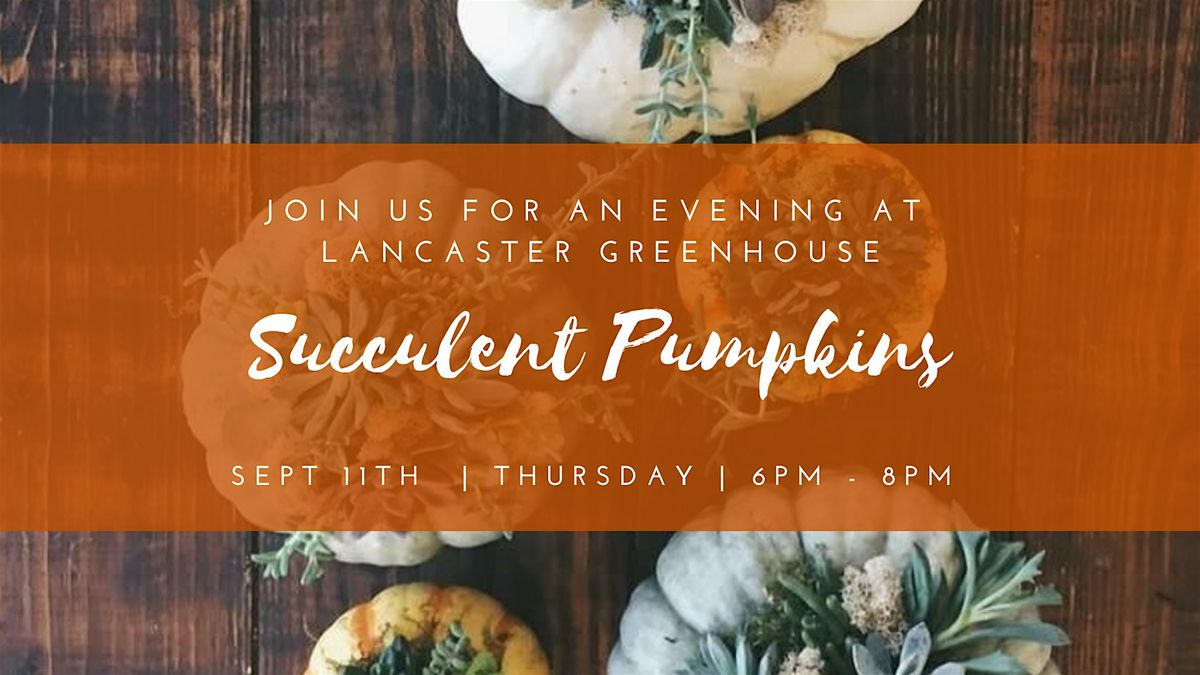 Succulent Pumpkins Workshop