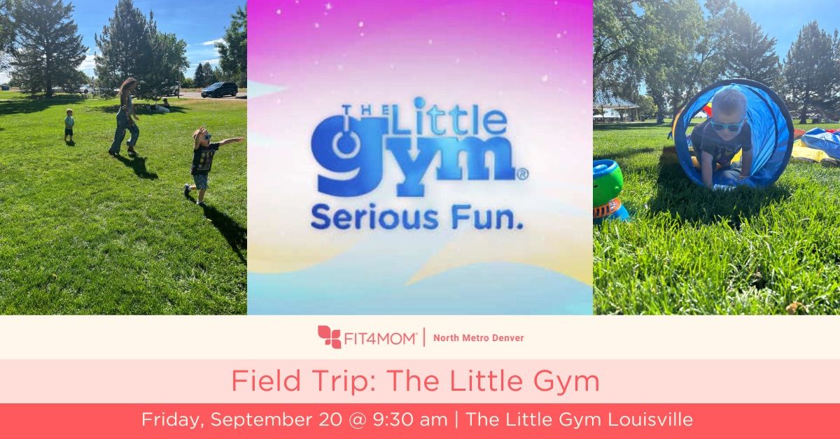 Field Trip: The Little Gym