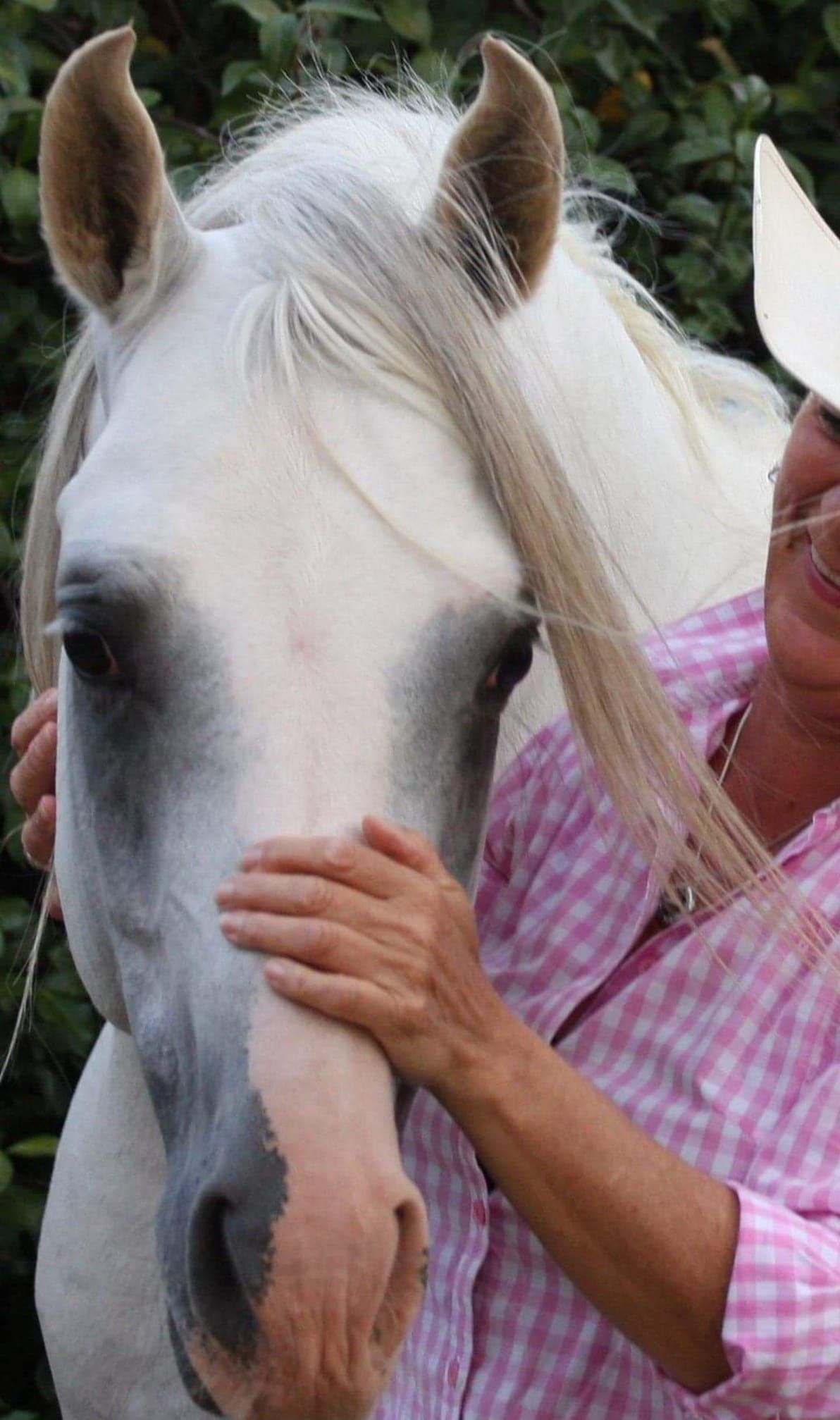 Jen Hawkins Horsemanship Savvy Clinic