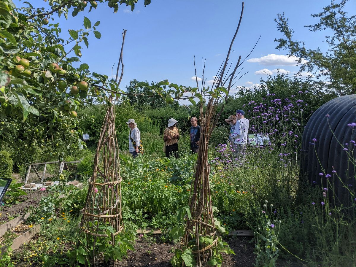 Permaculture Workshop