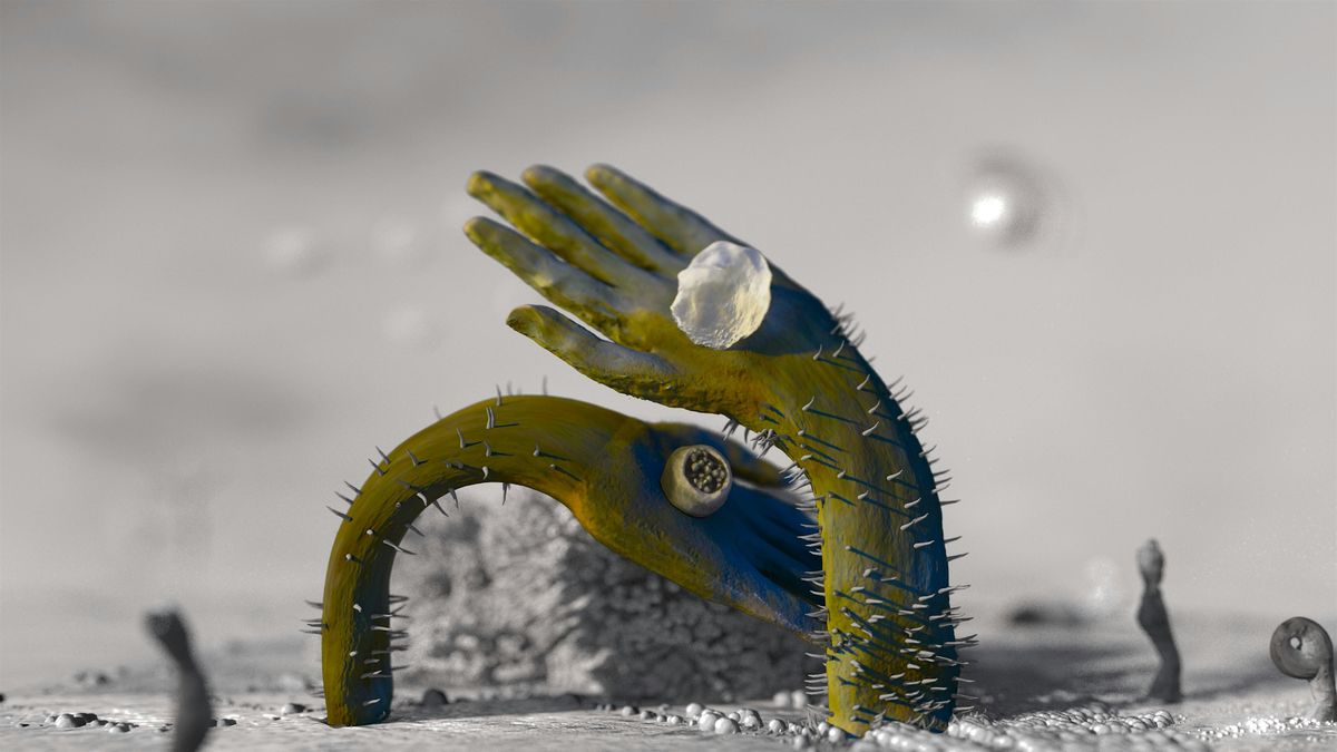 Gender Matters: Iman Datoo