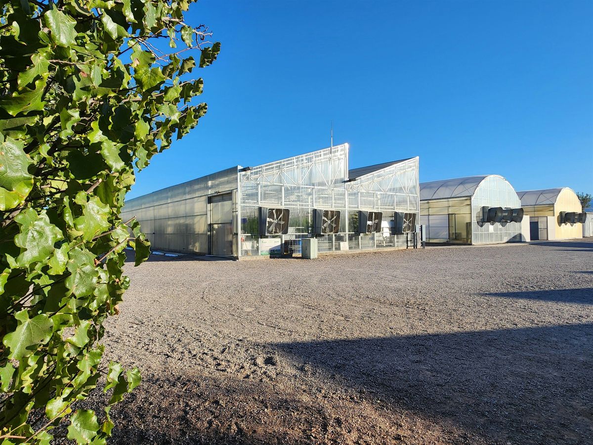 2026 Greenhouse Hydroponic Tomato Intensive Workshop