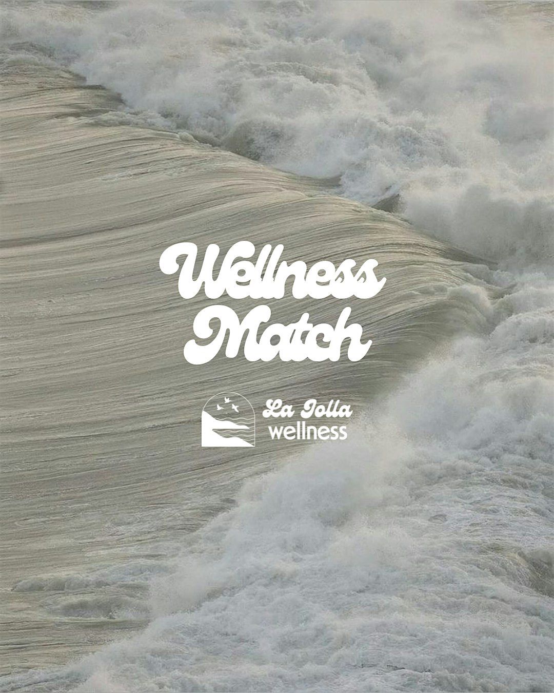 Wellness Match