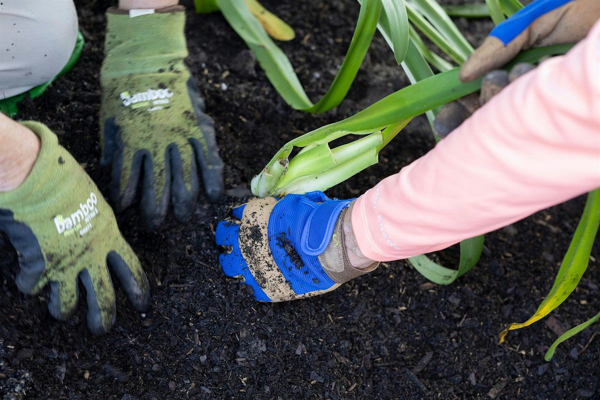 03-29-2025: Grow a Green Thumb by Planting in Black Gold