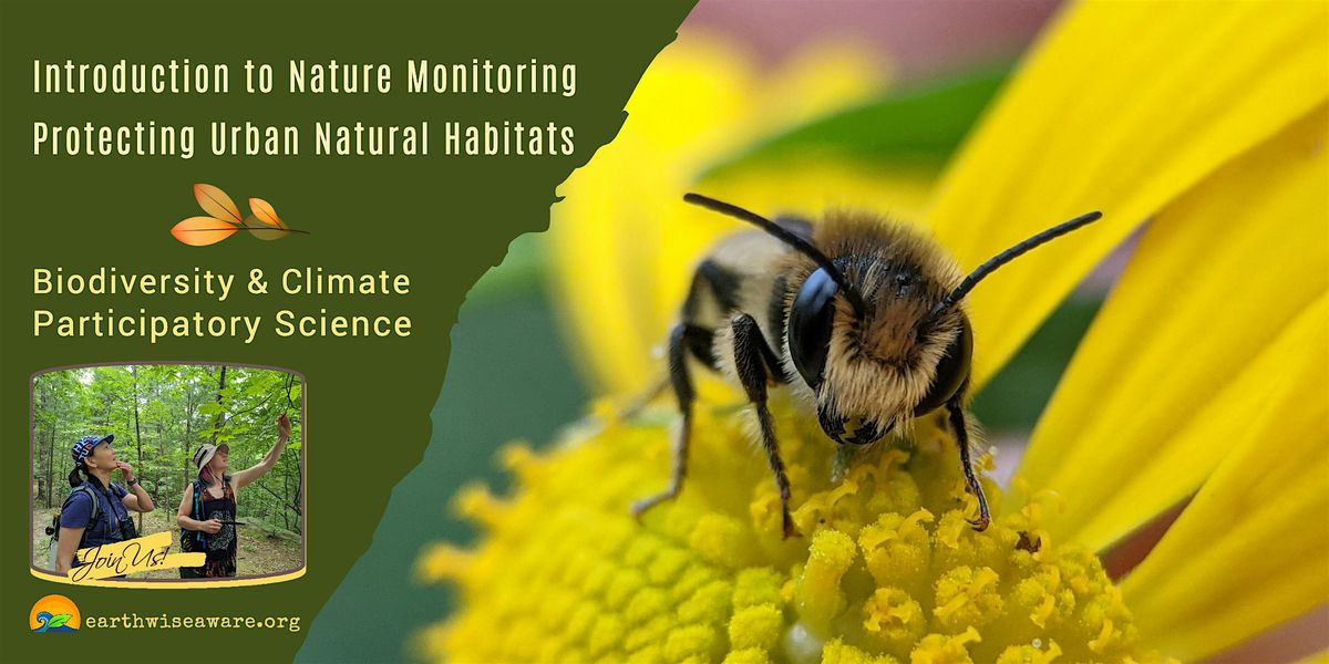 Introduction to Nature Monitoring in the City