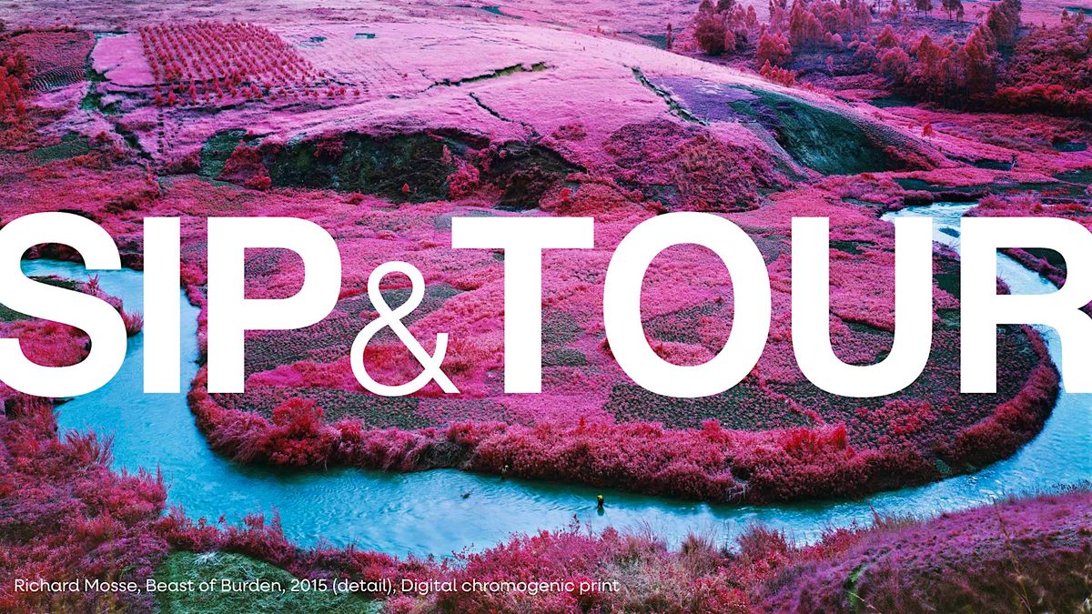 Sip and Tour
