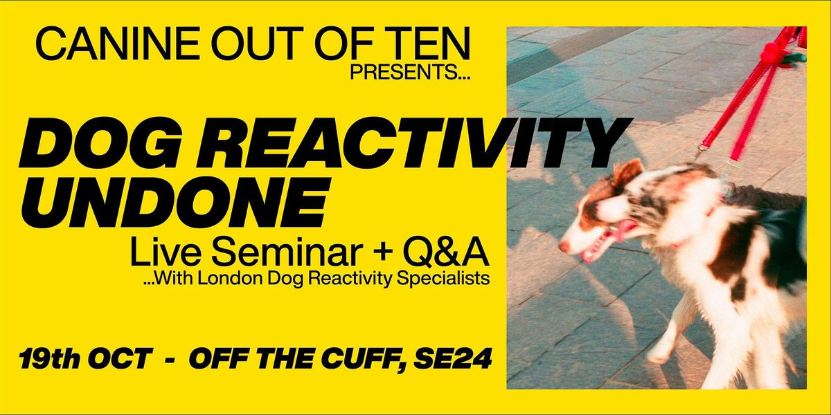 CANINE OUT OF TEN PRESENTS... DOG REACTIVITY UNDONE