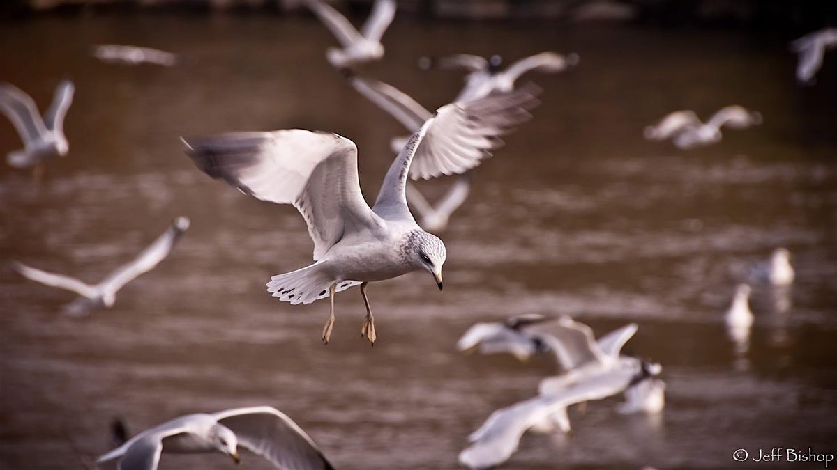 Composition in the Field - Photography Workshop