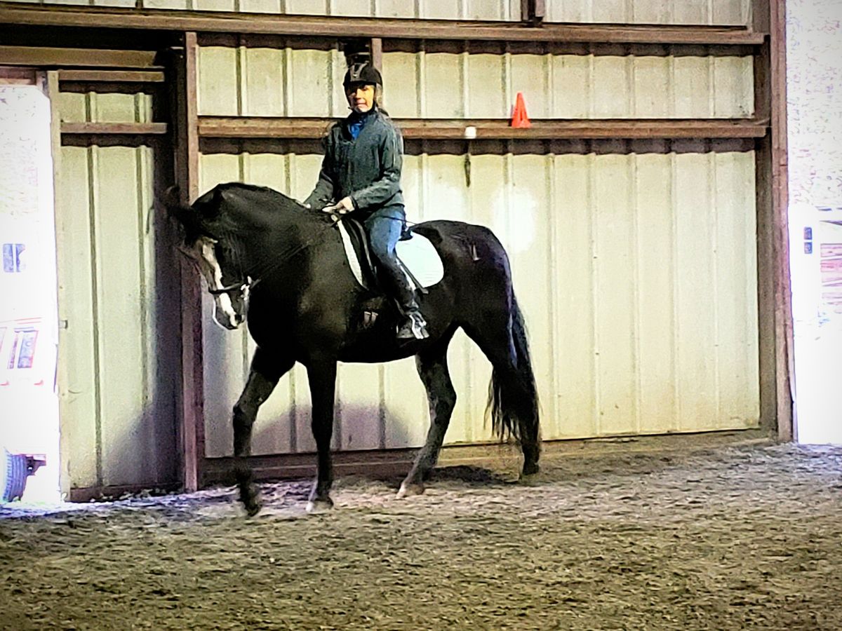 Open Centered Riding Clinic 