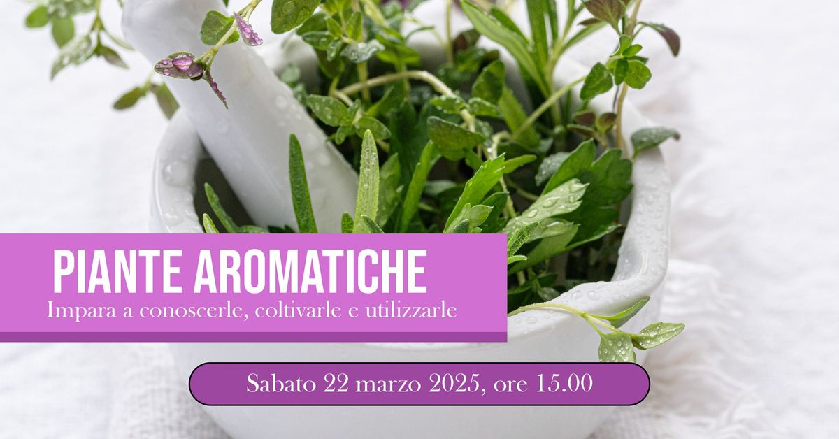 PIANTE AROMATICHE | SABATO 22 MARZO