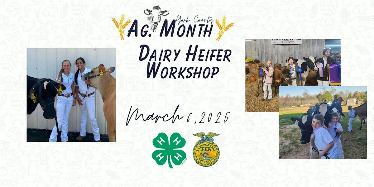 2025 York County 4-H Dairy Heifer Workshop