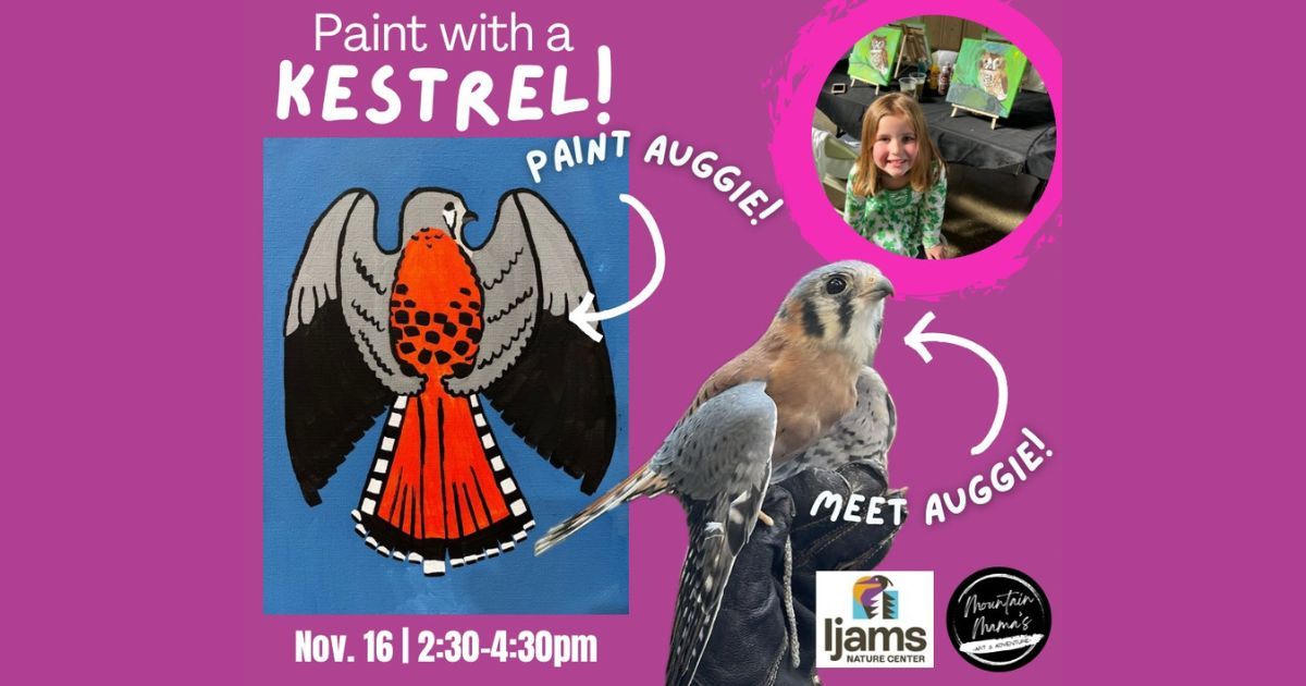 Creative Series: Paint with a Kestrel!