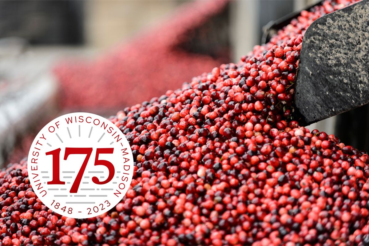 "Cranberries: How WI Became the Best": 175th Anniversary Taste of Wisconsin Badger Talk