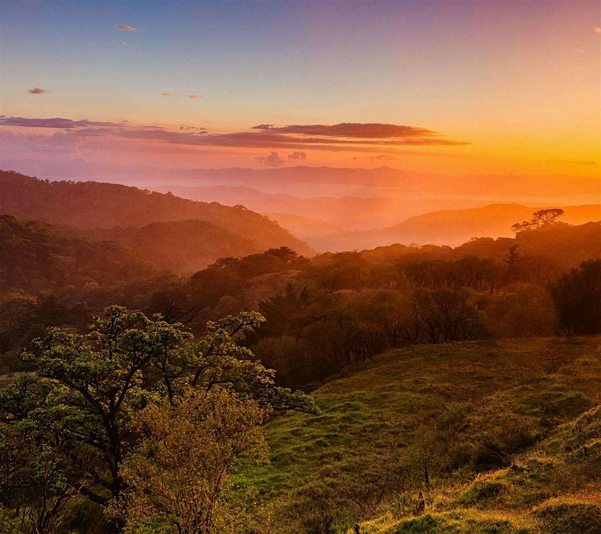 Costa Rica Jungle Getaway