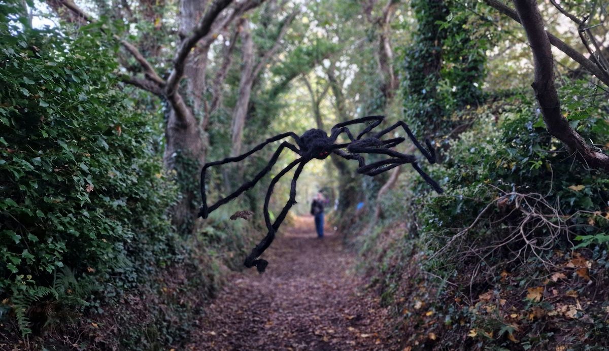 MILE LANE SPOOKY  STROLL