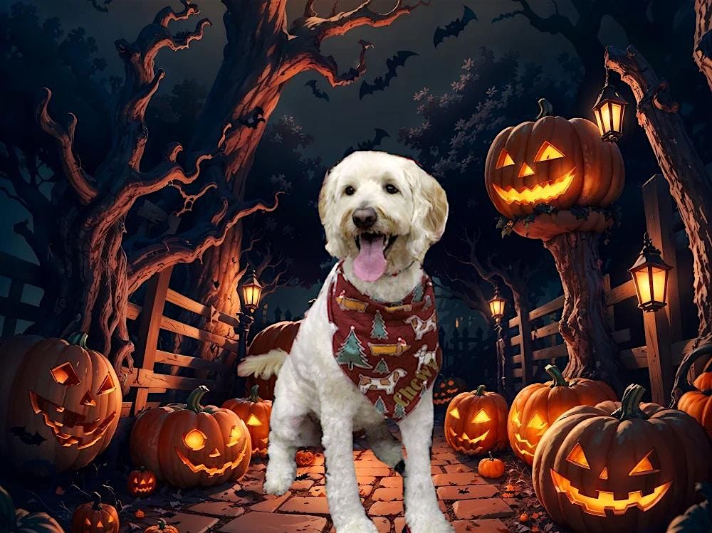 Halloween pet photoshoot-mississauga humane society fundraiser